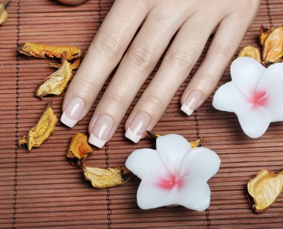 Female hands with french manicure
